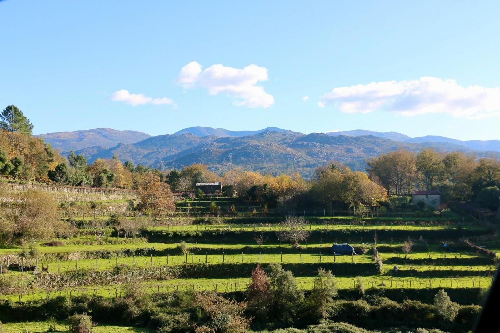 Casa Serra De Soajo Buitenkant foto